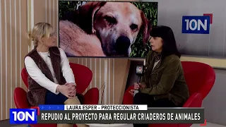 INTERVIEW WITH LAURA ESPER: OPPOSITION TO THE ANIMAL BREEDING REGULATION BILL