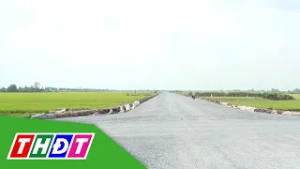 Sau Tết, Đồng Tháp đẩy nhanh tiến độ Dự án Đường tỉnh 864 | THDT