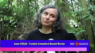 Povestea uitată a serelor