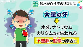 Summer: A High-Risk Season for Dehydration-Induced Thrombosis (Health Tips)