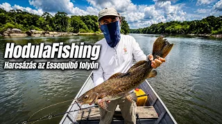 HodulaFishing: Harcsázás az Essequibó folyón Guyana vadonjában