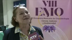 Vanilla hybrids resistant to climate change and pests developed in Veracruz