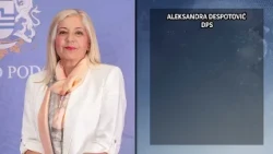 VIJESTI U POLA 7 -  KAKO JE JOKO GLASAO ZA EUROMODEL | Vijesti online