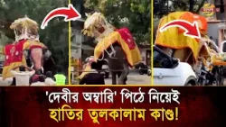 Elephant runs wild carrying the Goddess's howdah! Forest officials rush to bring it under control...