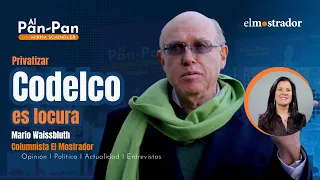 Waissbluth calls Codelco proposal a "smoke screen"
