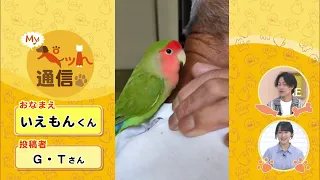 [Episode 121] Introducing our viewers' adorable pets! "My Pet News"