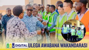 ULEGA: WATAFSIRIE WAAMBIE "MNANYANYASA WAFANYAKAZI VIJANA WA KITANZANIA"