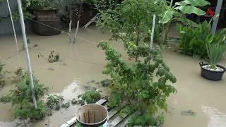 Heavy Rainfall in Gulrypsh District