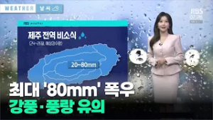 최대 '80mm' 폭우, 강풍·풍랑 유의
