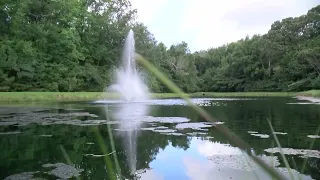 Stormwater Pond Inspection