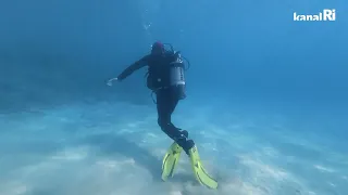Walking Under the Sea in Punat: A Unique Underwater Park Experience for All Generations