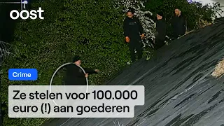 Burglary crew loots transport company property | RTV Oost