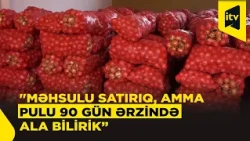 “90 gün pulumuzu gözləyirik” – satıcılar problemdən danışırlar