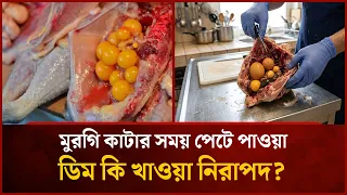 Is It Safe to Eat Eggs Found Inside a Chicken? | Mytv News