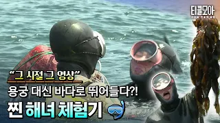 갓 잡아 올린 해산물! 🐙 텐션 폭발 별주부전의 좌충우돌 해녀 체험
