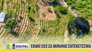 DCEA YATEKETEZA EKARI 203 ZA MIRUNGI SAME