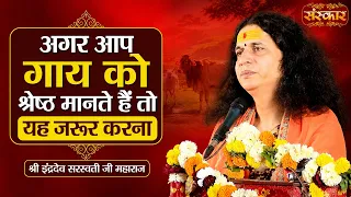अगर आप गाय को श्रेष्ठ मानते हैं तो यह जरूर करना | Sant Indradevji Maharaj Ke Pravachan | Sanskar TV