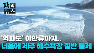 [자막뉴스] '역파도' 이안류까지.. 강한 파도에 제주 해수욕장 절반 통제