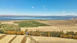 Xi's time in Ulanqab: A green revival at Huangqihai Lake Nature Reserve