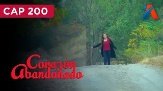 ABANDONED HEART - Wednesday 08/12/2026 Preview