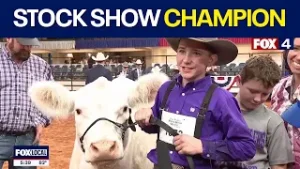 Fort Worth Stock Show & Rodeo crowns champion steer