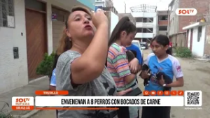 Trujillo: envenenan a 8 perros con bocados de carne