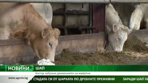 Централна емисия новини на АГРО ТВ – 24.02.2026 г.