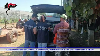 THIRTEEN ILLEGAL WORKERS IN THE FIELDS, 6 REPORTED BETWEEN CALTABELLOTTA AND MENFI