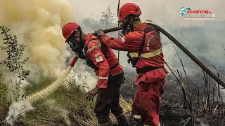 দাবানলের বিষাক্ত ধোঁয়ায় নাকাল ইন্দোনেশিয়া, বৃষ্টির জন্য হাহাকার