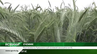 ЕЧЕМИК: Към момента Румъния е най-големият износител от ЕС