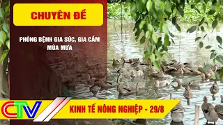 AGRICULTURAL ECONOMY 8/29/2026 | PREVENTING LIVESTOCK AND POULTRY DISEASES DURING RAINY SEASON