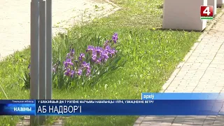 Погода готовит сюрпризы для жителей Гомельщины: от ливней до +36°C
