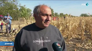 U Crnoj Bari kod Čoke održana "Kukuruzijada"