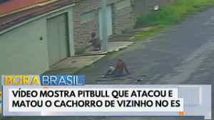 Pitbull ataca e mata cachorro de vizinho no ES | Bora Brasil