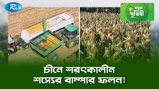 চীনে শরৎকালীন শস্যের বাম্পার ফলন! | Sobuj Prithibe Clips | Rtv