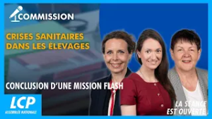 Crises sanitaires dans les élevages : conclusions d'une mission flash | La séance est ouverte !