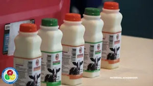 Surinaamse ondernemers krijgen training en financiele steun via Surge-programma