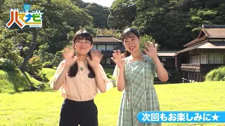ハマナビ　次回予告（7月18日放送）