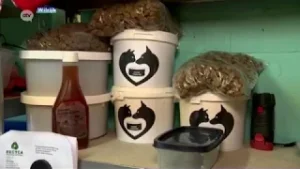 Voedselbank voor huisdieren: "Daar is echt nood aan"