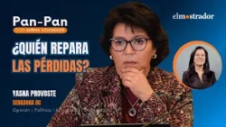 Provoste por las AFP: el proceso “no puede terminar con clases de ética”