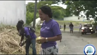EMANCIPATION TREASURE HUNT TESTS HISTORY BUFFS ACROSS SAINT LUCIA