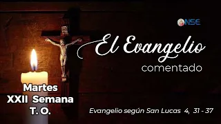 Gospel 📖 commentary September 01🕊️