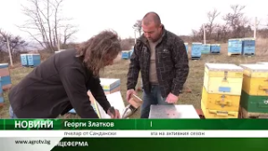 ПЧЕЛИНИТЕ НА БЪЛГАРИЯ: Каква е картината в пчелина на прага на активния сезон
