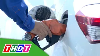 No violations found in E10 biofuel quality | THDT