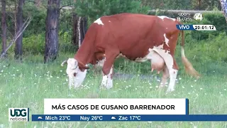 The top news tonight | August 14, 2026