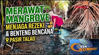 PRESERVING THE PASIR TALAO MANGROVES: PROTECTING LIVELIHOODS AND A NATURAL DISASTER BARRIER