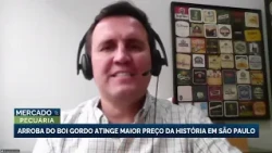 Fat cattle price hits all-time high in São Paulo