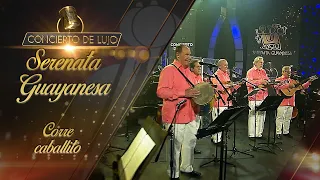 [Concierto de Lujo] – Serenata Guayanesa - Corre Caballito