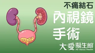 【大愛醫生館】 不痛結石 20261001