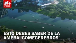 Is the brain-eating amoeba in the artificial lakes of Mérida, Yucatán?
